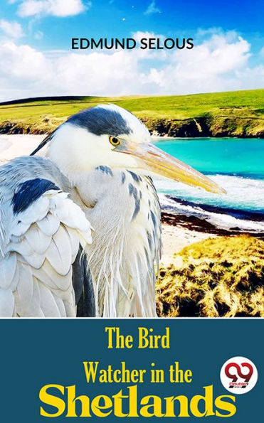 The Bird Watcher In The Shetlands