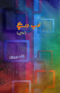 Title: Adab Dareechey: (Essays), Author: Fizza Parveen