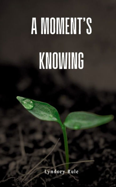 A moment's knowing