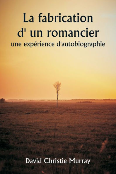 La fabrication d' un romancier, une expï¿½rience d'autobiographie