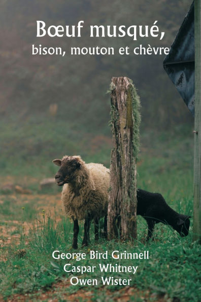 Boeuf musquï¿½, bison, mouton et chï¿½vre