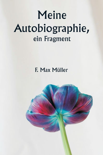 Meine Autobiographie, ein Fragment