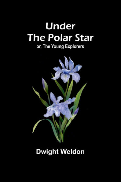 Under the Polar Star; or, The Young Explorers