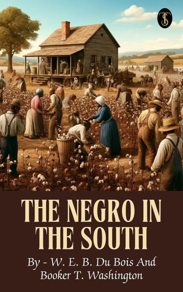The Negro in the South