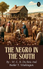 The Negro in the South