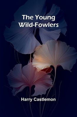 The Young Wild-Fowlers