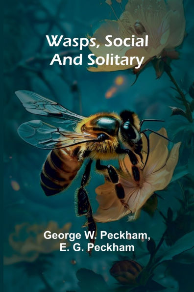 Wasps, Social And Solitary