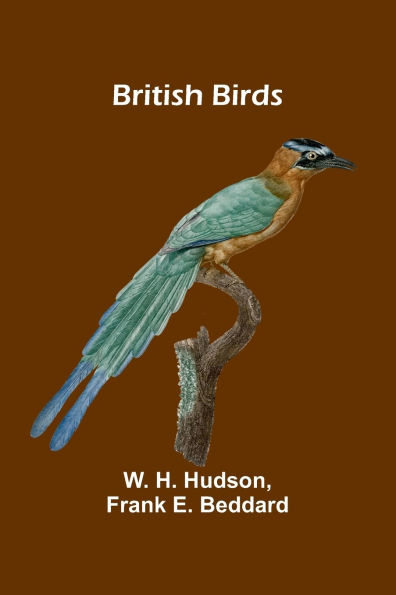 British Birds