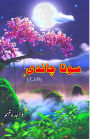 Sona Chaandi: (Gold and silver, Short Stories)