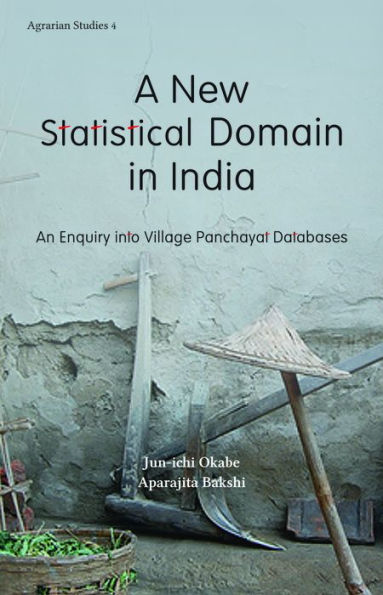 A New Statistical Domain India: An Enquiry Into Village Panchayat Databases