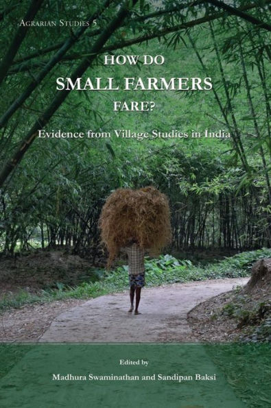 How Do Small Farmers Fare?: Evidence from Village Studies in India