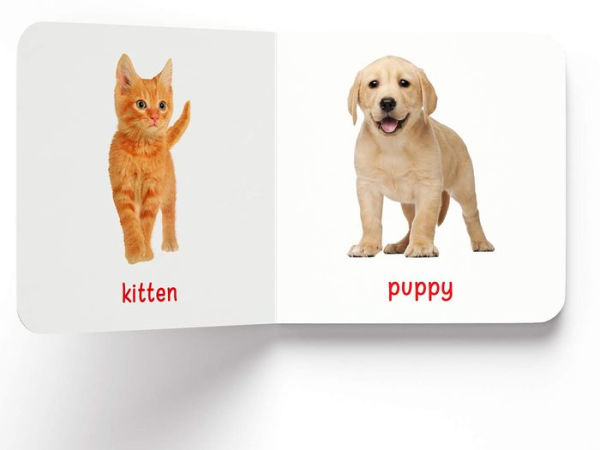 My First Book of Baby Animals