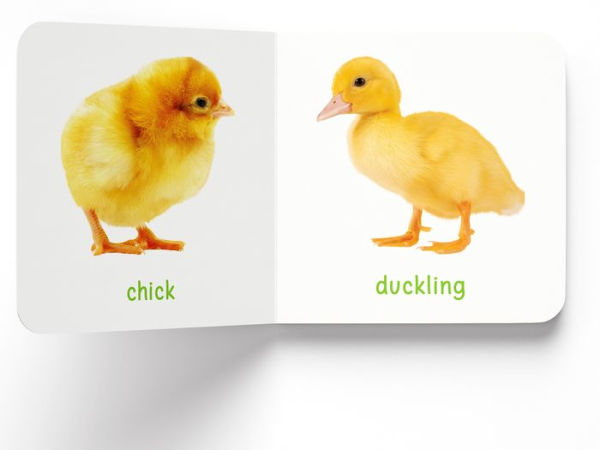 My First Book of Baby Animals