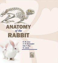 Title: Anatomy Of The Rabbit, Author: Lucy K.M.