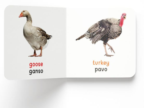 My First English - Espa ol Learning Library (Mi Primera English - Espa ol Learning Library): Boxset of 10 English - Spanish Board Books