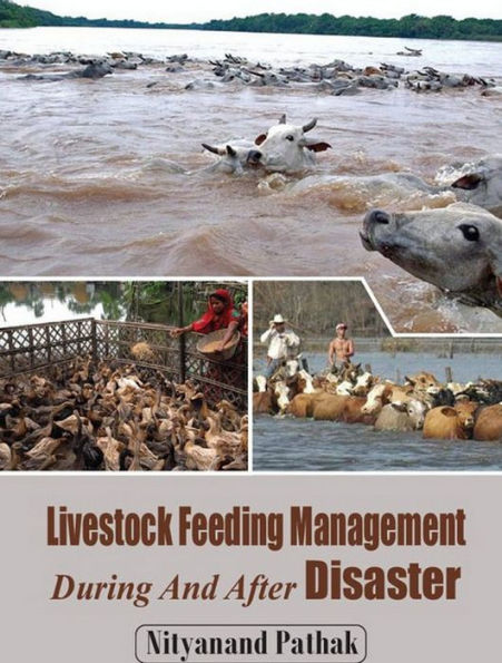 Livestock Feeding Management During And After Disaster
