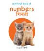 My First Book of Numbers - Ginti: My First English - Hindi Board Book