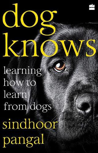 Dog Knows: Learning How to Learn from Dogs