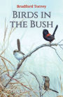 Birds in the Bush