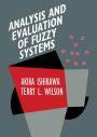 Analysis and Evaluation of Fuzzy Systems