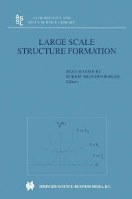 Title: Large Scale Structure Formation, Author: Reza Mansouri