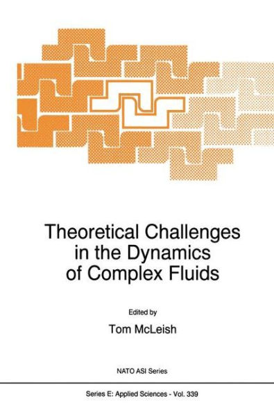 Theoretical Challenges in the Dynamics of Complex Fluids