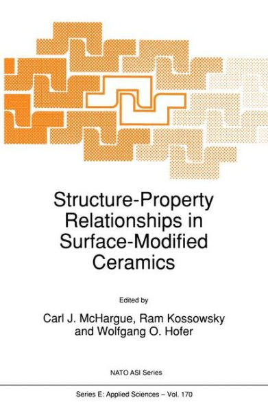 Structure-Property Relationships in Surface-Modified Ceramics