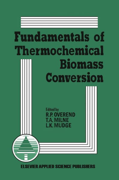 Fundamentals of Thermochemical Biomass Conversion