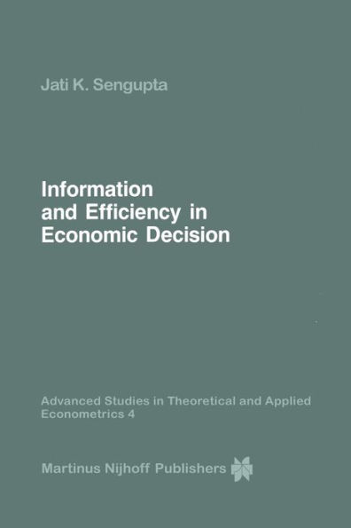 Information and Efficiency in Economic Decision