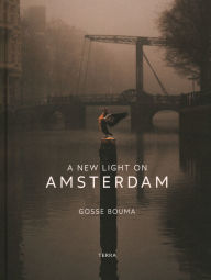 Free ebook downloads from google A New Light on Amsterdam in English by Gosse Bouma FB2