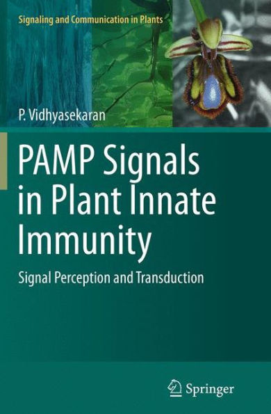 PAMP Signals Plant Innate Immunity: Signal Perception and Transduction