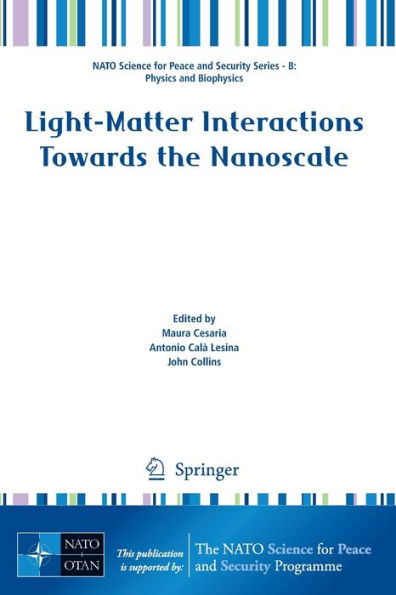 Light-Matter Interactions Towards the Nanoscale