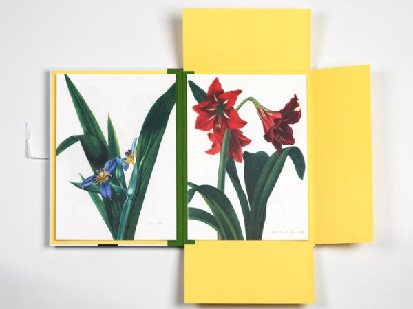 Flower Prints Art Portfolio