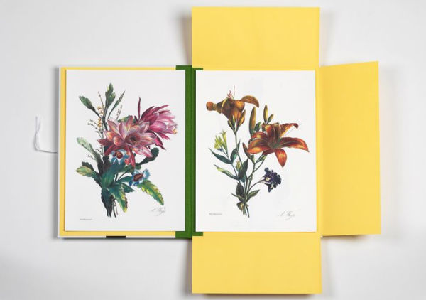Flower Prints Art Portfolio