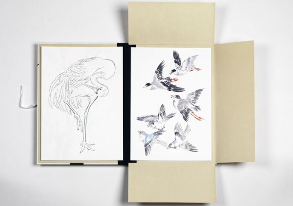 Japanese Bird Prints Art Portfolio