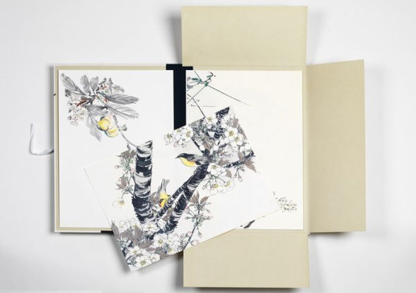 Japanese Bird Prints Art Portfolio