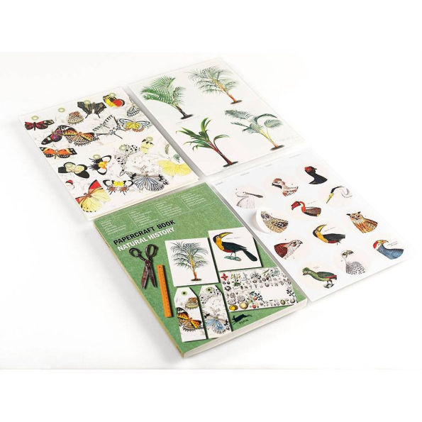 Natural History Papercraft Book