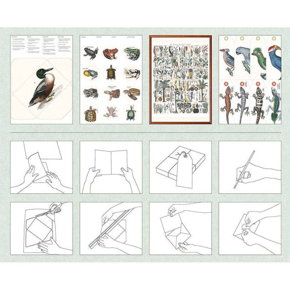Natural History Papercraft Book