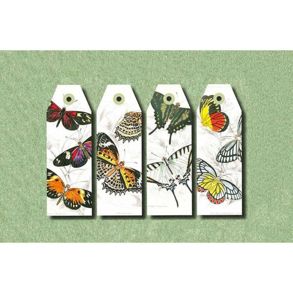 Natural History Papercraft Book