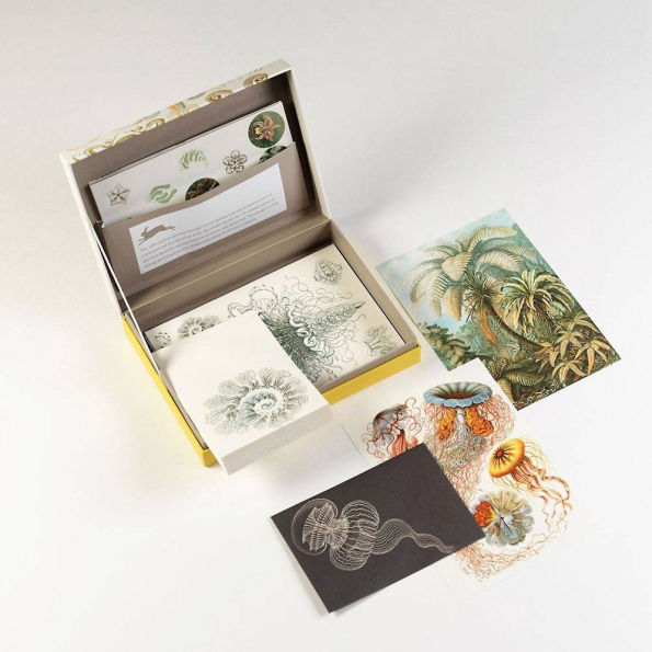 Art Forms in Nature Letter Writing Set