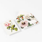 Alternative view 4 of Flowers Correspondence Set