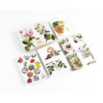 Alternative view 7 of Flowers Correspondence Set