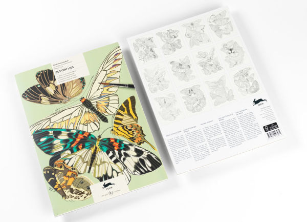 Butterflies Artists' Colouring Book