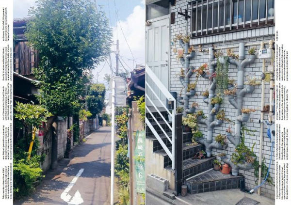 Japan: Nation Building Nature