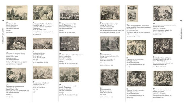 Allart van Everdingen: Master of the Rugged Landscape