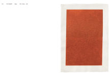 Alternative view 9 of Kees Visser: Monochromes