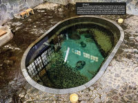 Alternative view 2 of Towards a Nude Architecture: A Visual Compendium of Japanese Hot Springs