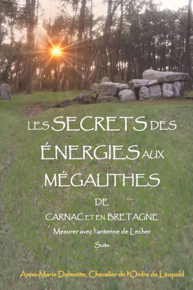 LES SECRETS DES ï¿½NERGIES AUX Mï¿½GALITHES DE CARNAC ET EN BRETAGNE - Mesurer avec l'antenne de Lecher - Suite