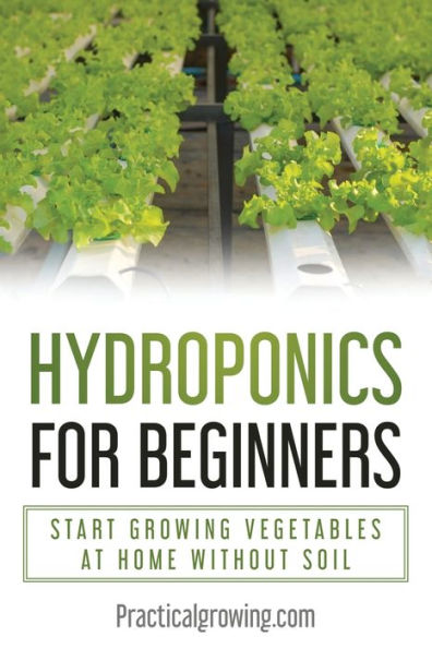 Hydroponics for Beginners: Start Growing Vegetables at Home Without Soil