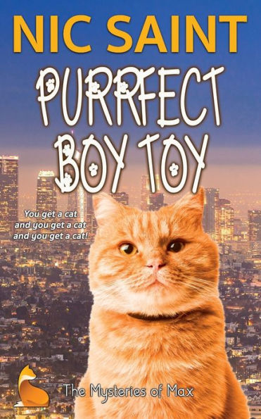 Purrfect Boy Toy